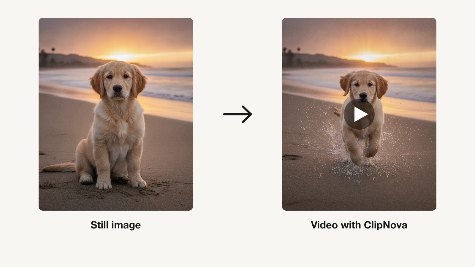 Best AI image to video tools: a still puppy photo on a beach turned into a running video clip in ClipNova