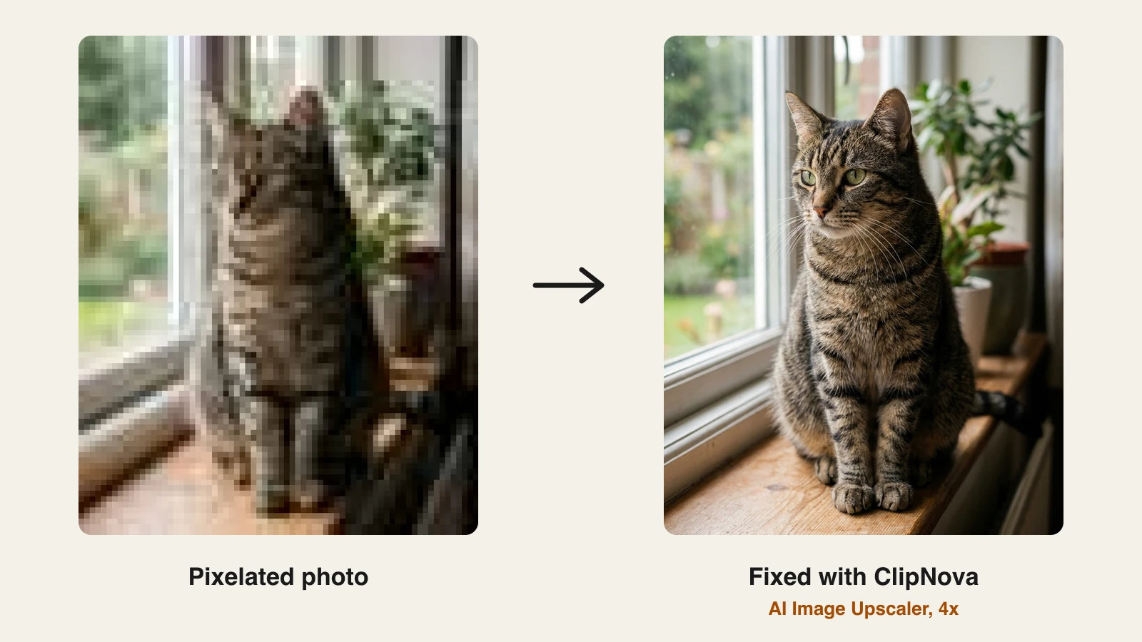 How to fix pixelated photos: a blocky tabby cat photo next to the sharp 4x version from ClipNova's AI Image Upscaler